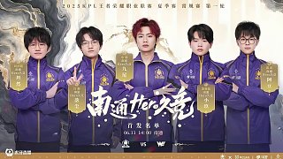职业生涯的