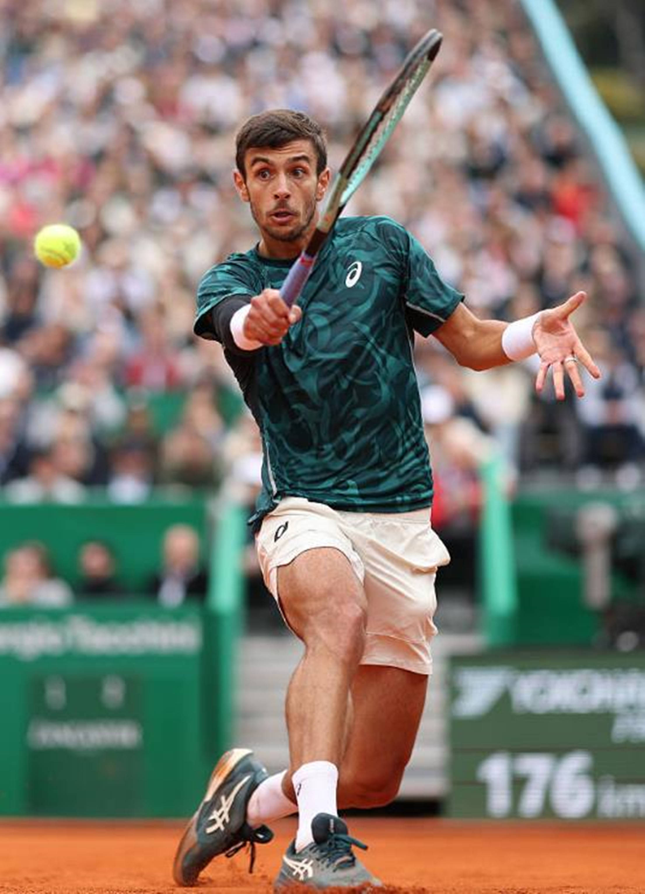 担任罗马主 担任罗马主